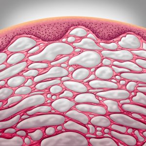 Basis Bio Regulatie Systeem