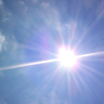 Zielsboodschap overleden kat