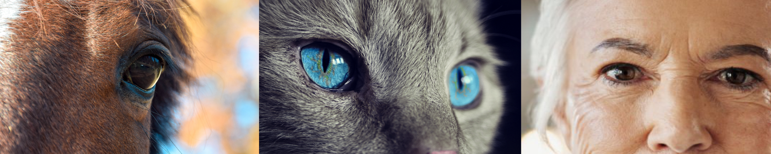 Behandel Natuurlijk W-banner02 Behandel Natuurlijk - Natuurgeneeskunde voor dieren