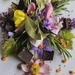 Despacho sterven dier